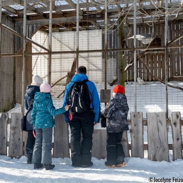 Une famille observe un harfang des neiges à Chouette à voir!