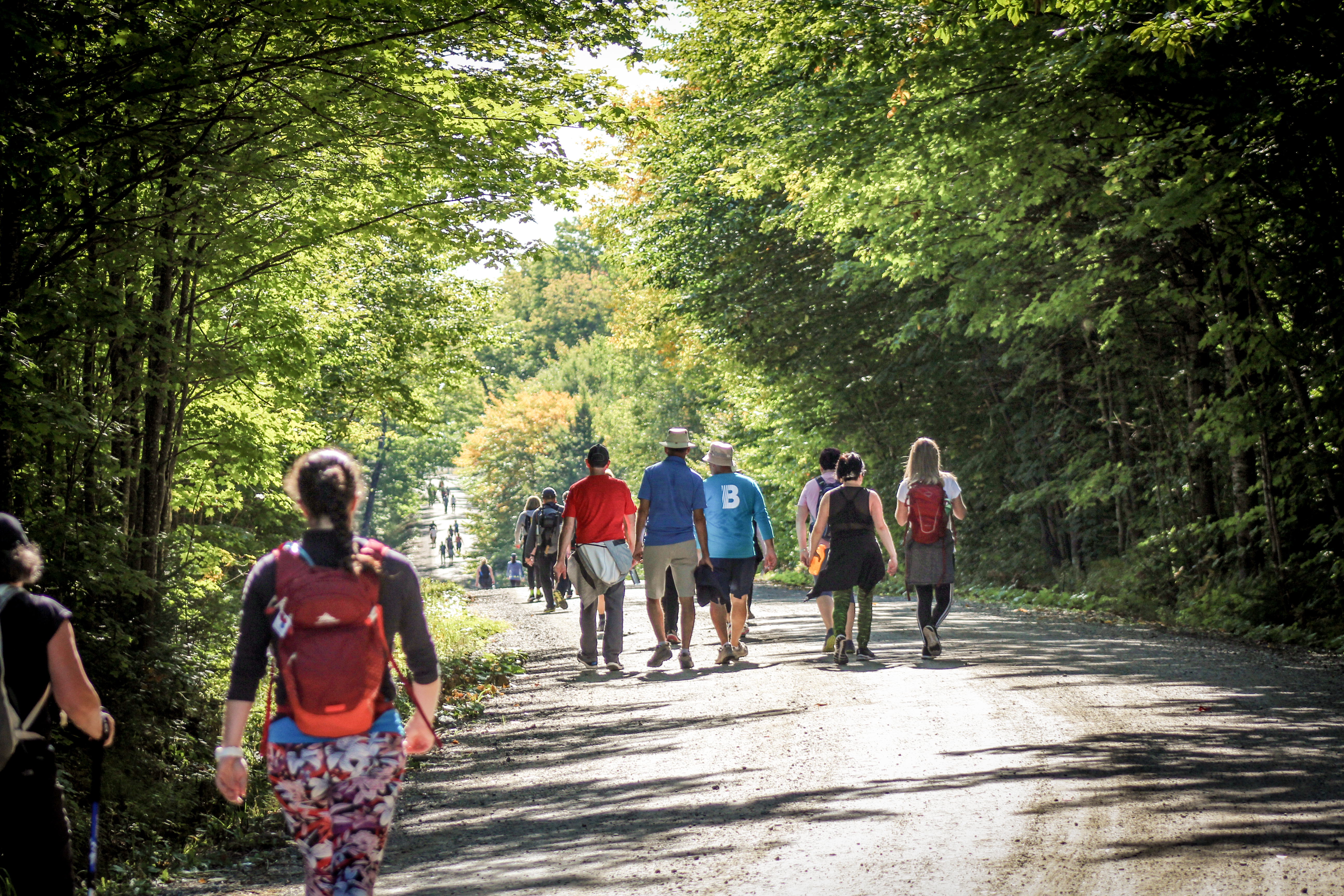 Participants à la Marche en groupe
