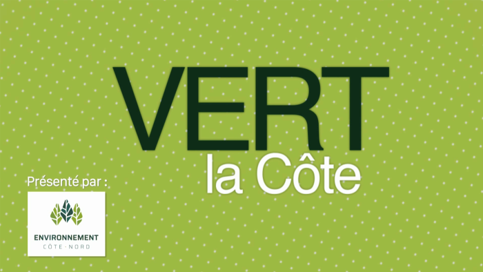 Vert la Côte