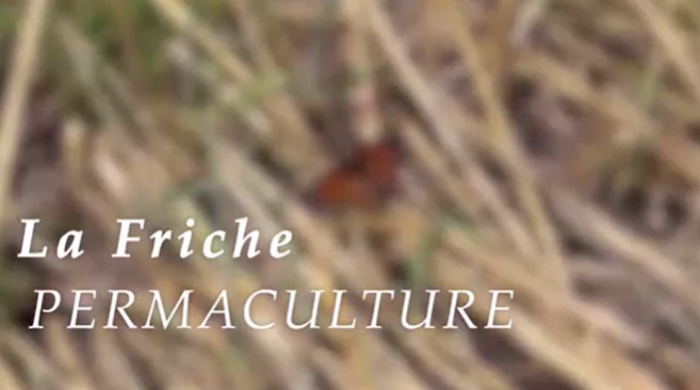Les Jardins de la friche